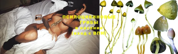 молекула духа Козловка