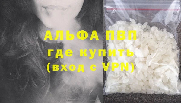молекула духа Козловка