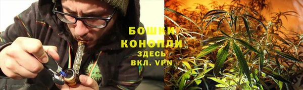 молекула духа Козловка