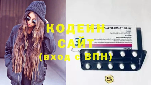молекула духа Козловка